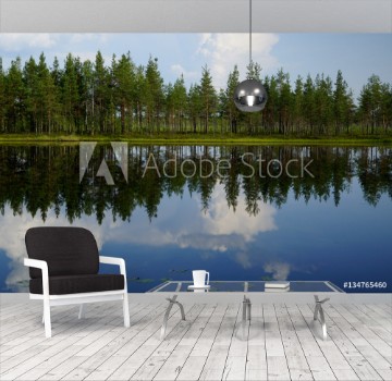 Picture of Landscape forest lake with reflection of clouds in the sky and pine trees on the beach summer